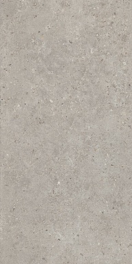 Керамогранит Kerama Marazzi SG519920R Риккарди серый светлый матовый обрезной 60х119,5