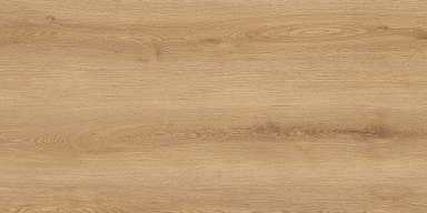 Керамогранит Global Tile GT5010026902MCR Вуди Бежевый 50x100