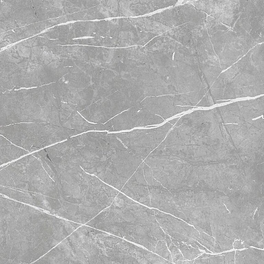 Керамогранит ProGRES Ceramica NR0382-M Марбл Лайн Серый светлый матовый 600x600x9.5