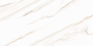Плитка AltaCera WT9ESR00 Esprit Calacatta 250*500*9