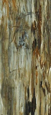 Керамогранит Art Ceramic Arty Brown High gloss 60*120