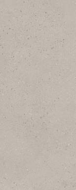 Плитка Kerama Marazzi 7256 Скарпа серый матовый 20x50x0,8