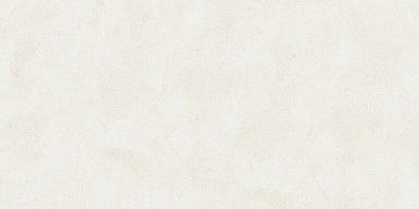 Керамогранит Buono Ceramica EVL4802M Emma Fiore Base Matt 60x120