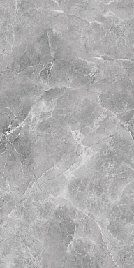 Керамогранит BELLEZA Ambition Grey Glossy 60х120