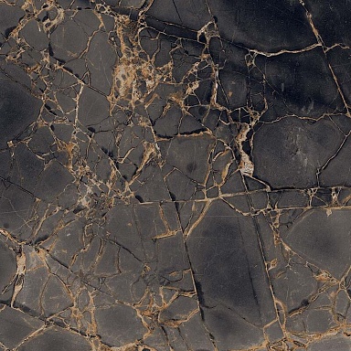 Керамогранит PrimaVera GR101 Golden Black High glossy 600x600