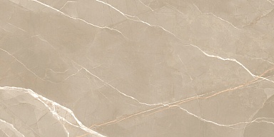 Керамогранит New Trend 60120ESE21P Essential Marron полированный 600x1200x7