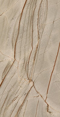 Керамогранит Casa Dolce Casa 774891 Nature Mood Rainforest Comfort 6mm 60x120