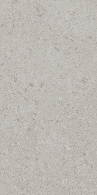 Керамогранит Kerama Marazzi DD591200R Чеппо ди Гре серый светлый матовый обрезной 119,5x238,5x1,1
