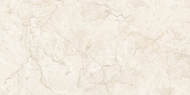 Керамогранит NT Ceramic NTT99523C Stone Almond Endless 60x120