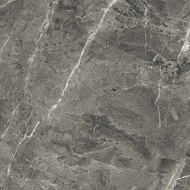 Керамогранит Arcadia Ceramica RT6013-A Florencia Grey Matt Rustic 60x60