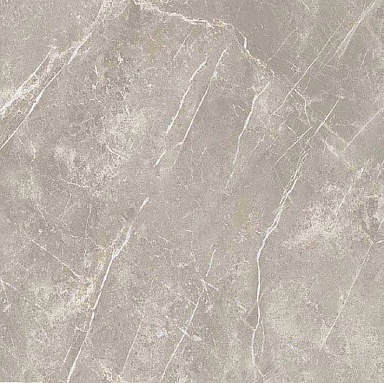Керамогранит Cerim 766956 Elemental Grey Dolomia Luc Ret 60x60