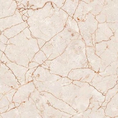 Rosalia Colortile
