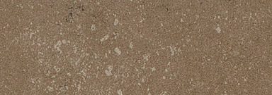 Керамогранит Kerlite Buxy Noisette 300x100