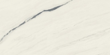 Керамогранит Атлас Конкорд Россия 610015000664 Forte dei Marmi Panda White Lapp 80x160