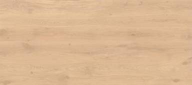 Керамогранит Atlas Concorde Italy AX28 Log Bright Oak Matte 6mm 120x278