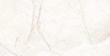 Керамогранит Usak Seramik Manavgat Bone Polished 60x120