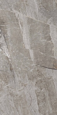 Керамогранит PrimaVera PR209 Essence Grey Polished 600x1200