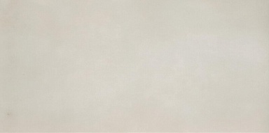 Керамогранит Casalgrande Padana 11720026 R-Evolution Total White 9mm 60x120