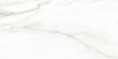 Плитка Alma Ceramica TWU2550EPH04 Euphoria 249x500x7