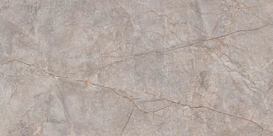 Керамогранит Neodom N20553 Silver River Carving 60x120