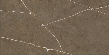 Керамогранит Basconi Home BHM-5009 Stone Brown 3D ink-soft glaze 60x120