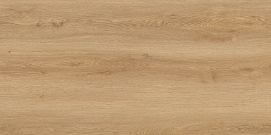 Керамогранит Global Tile GT5010026902MCR Вуди Бежевый 50x100
