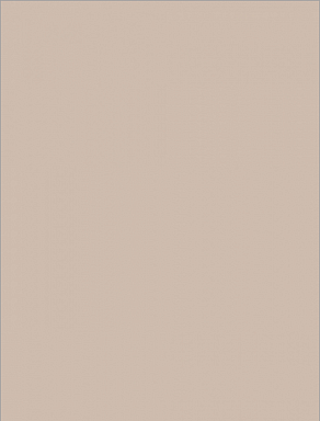 Плитка RAKO WAAKB108 CONCEPT Beige 25x33