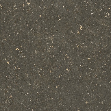 Керамогранит Casa Dolce Casa 785507 Rinascenza Arena Platino Grip 20mm 120x120