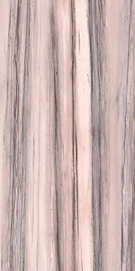 Керамогранит Cedit 764062 Policroma Valtoce Mat 6mm 60x120