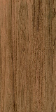 Керамогранит Bonaparte Greenwood Elite Matt 60x120