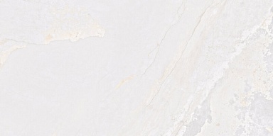 Керамогранит Fanal Planet White N Metal Shine 60x120
