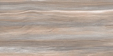 Плитка AltaCera WT9ESR21 Esprit Wood 250*500*9