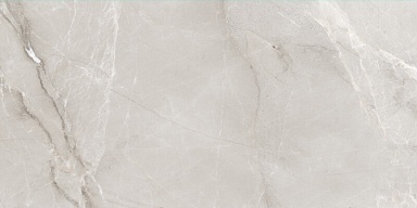 Керамогранит Best Ceramic KSW612DG008 Fish Maw Ash Digital Carving 60x120
