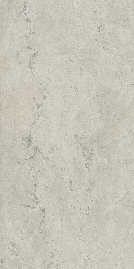Керамогранит Italon 610010002628 Metropolis Absolut Silver Nat Rett 60x120