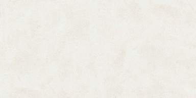 Керамогранит Buono Ceramica EVL4802M Emma Fiore Base Matt 60x120