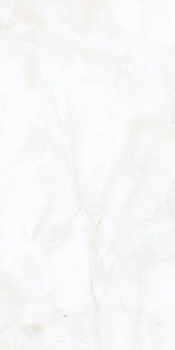 Керамогранит Alpas Euro Nikita White Pol 60x120